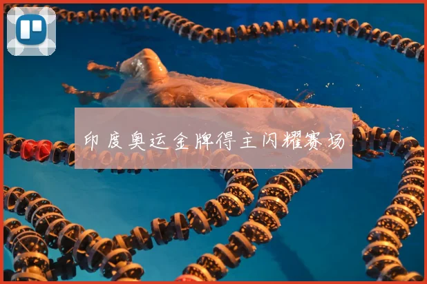 印度奥运金牌得主闪耀赛场